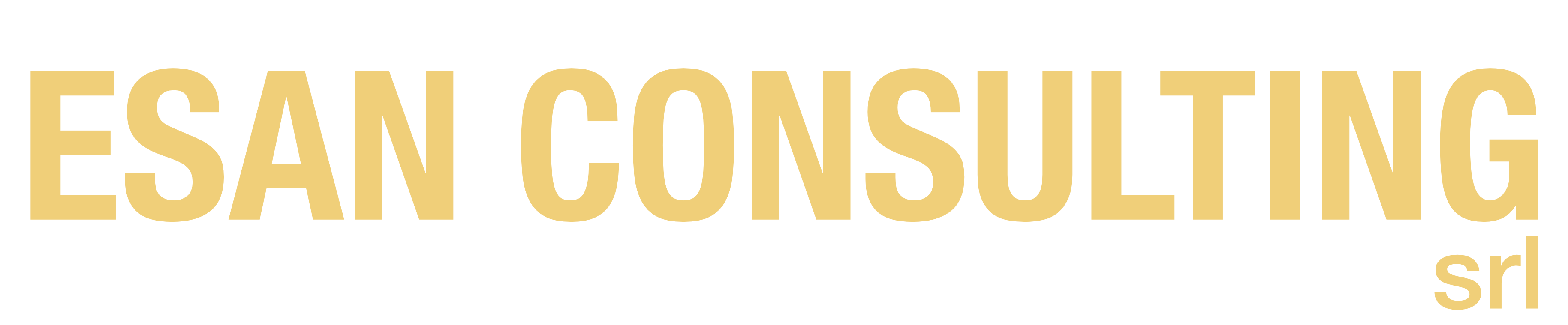 ESAN Consulting